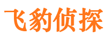 东兰市私人侦探